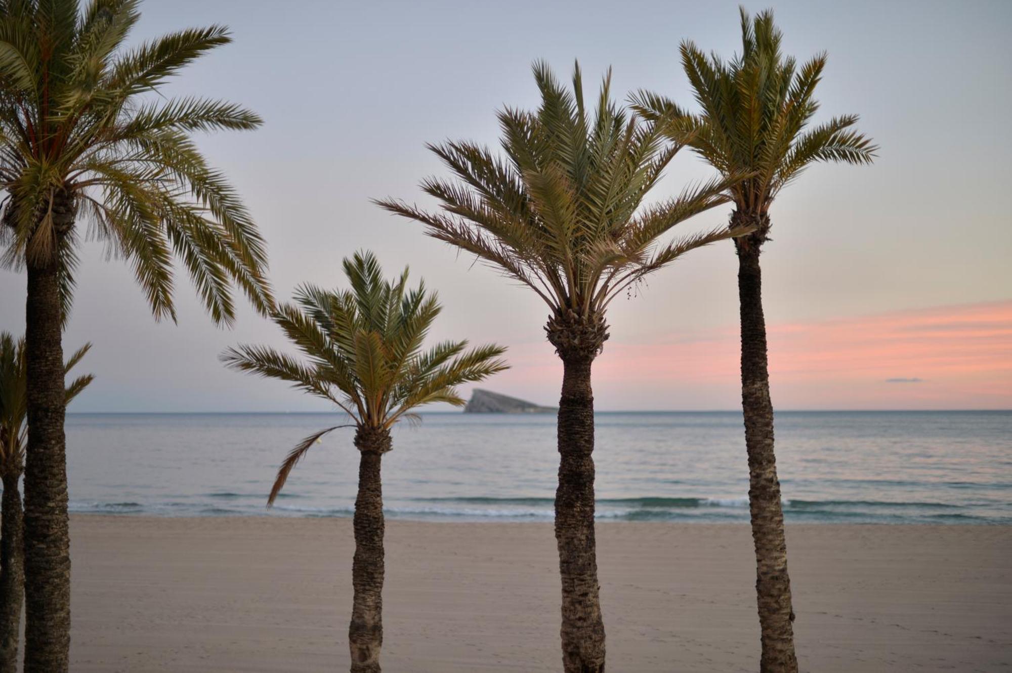 Sunset Cliffs Apartment Benidorm